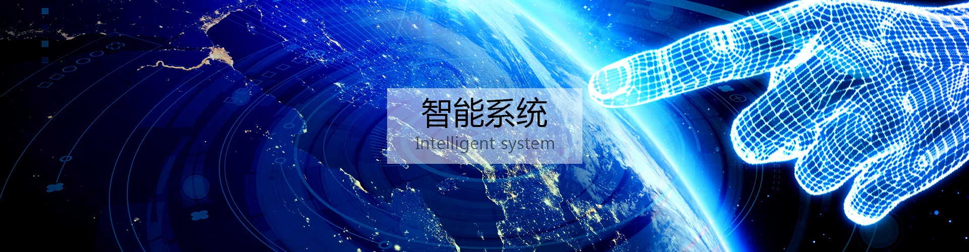 智能系统